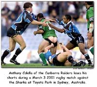 c' est la verite de rugby